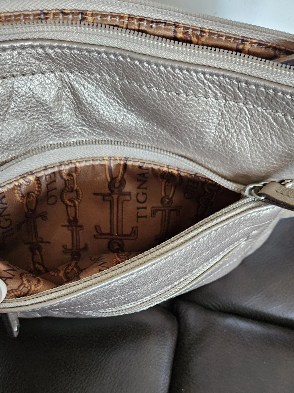 Tiagnello Metallic Champagne Leather Crossbody Bag